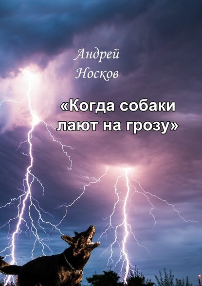 Когда собаки лают на грозу. Тонкие детали должны быть замечены — Андрей Носков