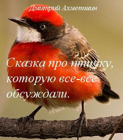 Сказка про птичку, которую все-все обсуждали — Дмитрий Ахметшин