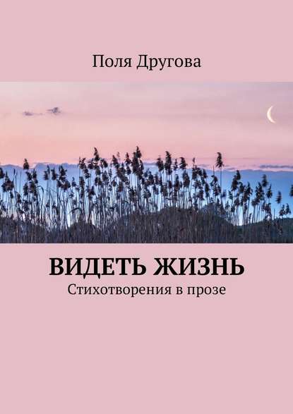 Видеть жизнь. Стихотворения в прозе — Поля Другова