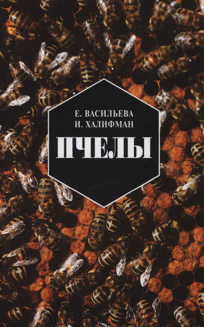 Пчелы. Повесть о биологии пчелиной семьи и победах науки о пчелах - Е. Н. Васильева