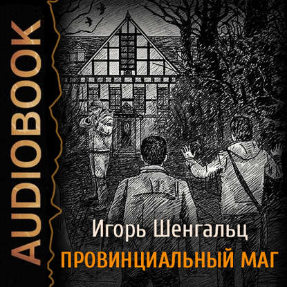 Провинциальный маг. Фактор Трикстера - Игорь Шенгальц