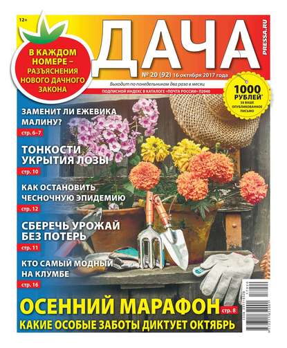 Дача Pressa.ru 20-2017 - Редакция газеты Дача Pressa.ru