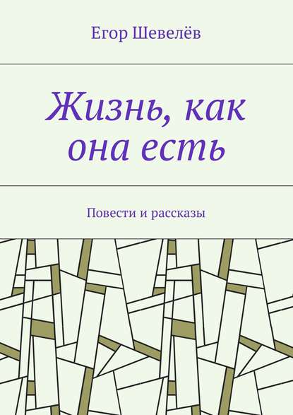 Жизнь, как она есть. Повести и рассказы — Егор Шевелёв