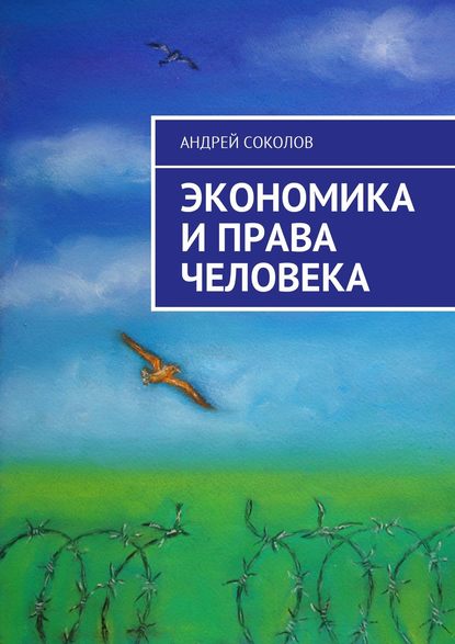 Экономика и права человека — Андрей Соколов