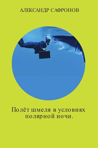 Полёт шмеля в условиях полярной ночи. Сборник рассказов — Александр Игоревич Сафронов