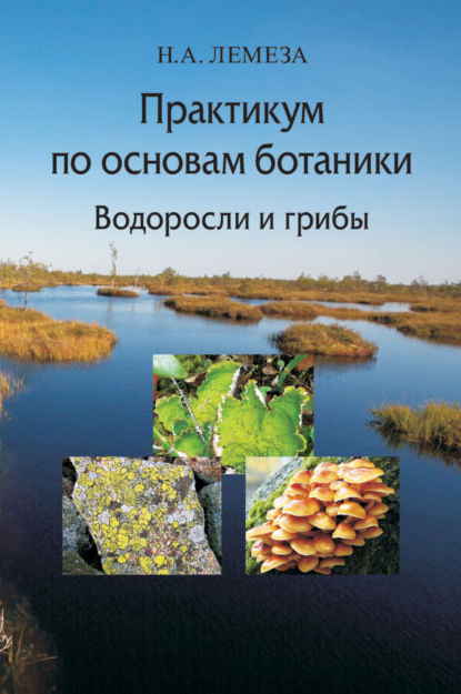 Практикум по основам ботаники. Водоросли и грибы - Н. А. Лемеза