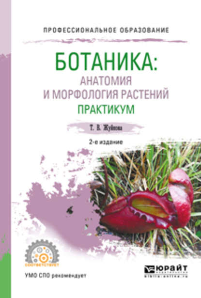 Ботаника: анатомия и морфология растений. Практикум 2-е изд., пер. и доп. Учебное пособие для СПО - Татьяна Валерьевна Жуйкова