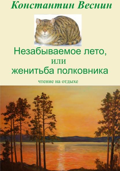 Незабываемое лето, или Женитьба полковника - Константин Веснин