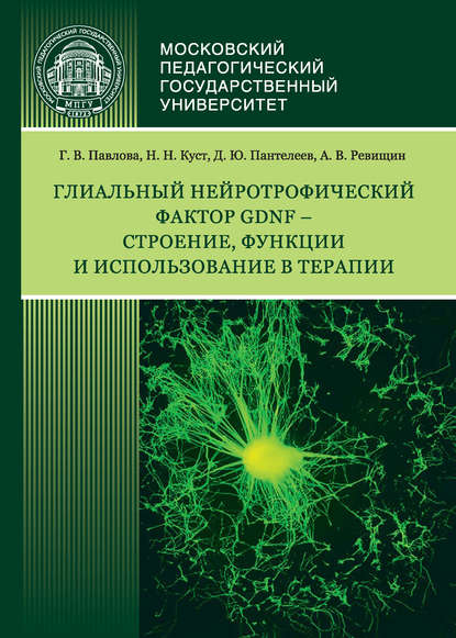 Глиальный нейротрофический фактор GDNF – строение, функции и использование в терапии - Г. В. Павлова