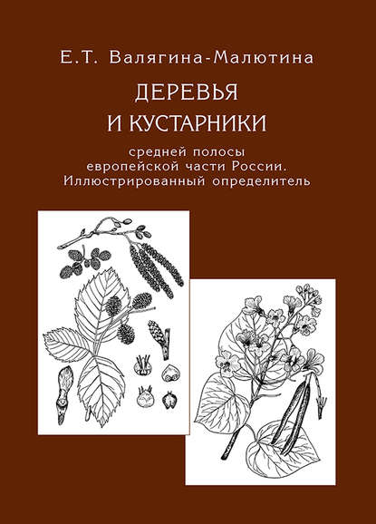 Деревья и кустарники средней полосы европейской части России. Иллюстрированный определитель - Евгения Валягина-Малютина