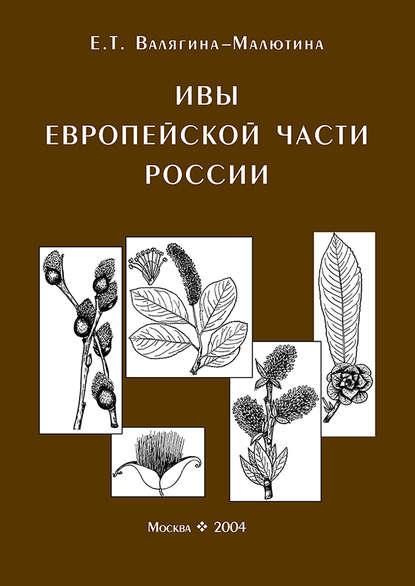 Ивы европейской части России. Иллюстрированное пособие для работников лесного хозяйства - Евгения Валягина-Малютина