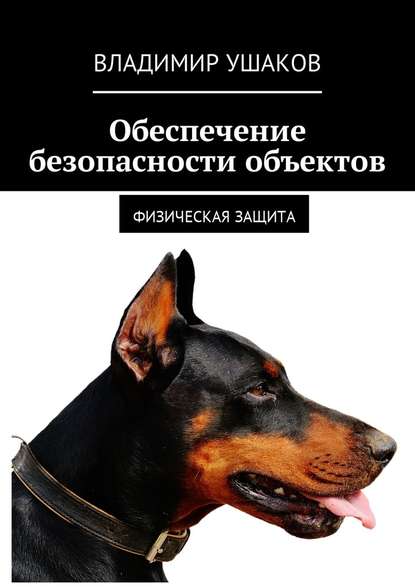 Обеспечение безопасности объектов. Физическая защита — Владимир Ушаков