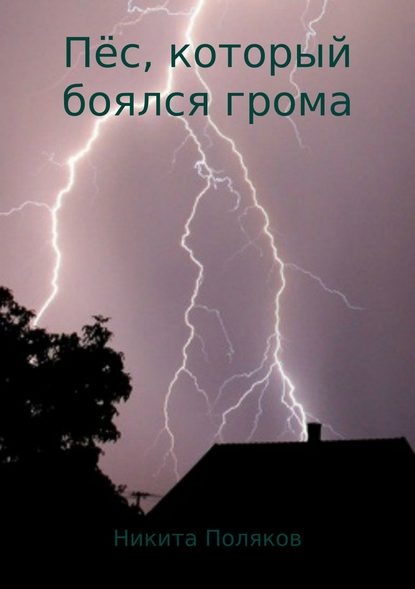 Пёс, который боялся грома - Никита Сергеевич Поляков