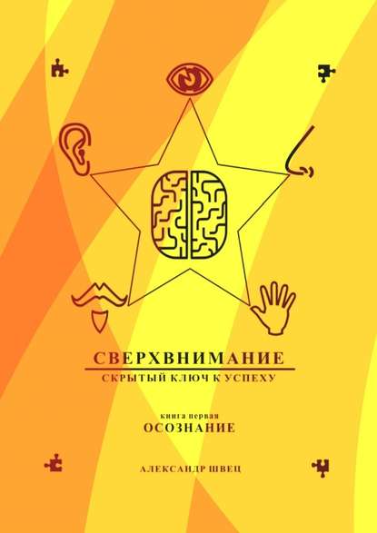 Сверхвнимание – скрытый ключ к успеху. Осознание - Александр Швец