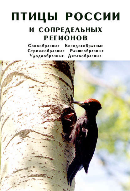 Птицы России и сопредельных регионов. Совообразные, Козодоеобразные, Стрижеобразные, Ракшеобразные, Удодообразные, Дятлообразные - Коллектив авторов