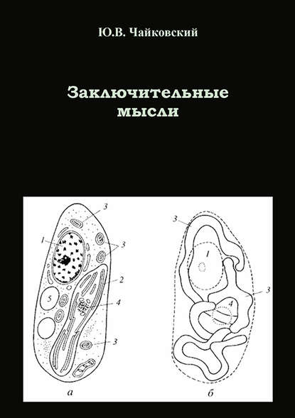 Заключительные мысли — Ю. В. Чайковский