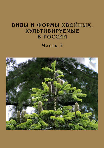 Виды и формы хвойных, культивируемые в России. Часть 3. Abies Mill., Chamaecyparis Spach - Д. Л. Матюхин