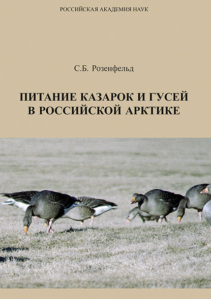 Питание казарок и гусей в Российской Арктике - С. Б. Розенфельд