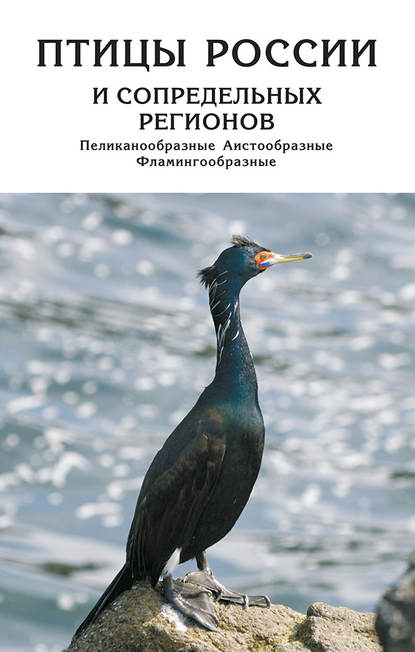 Птицы России и сопредельных регионов. Пеликанообразные, Аистообразные, Фламингообразные - Коллектив авторов