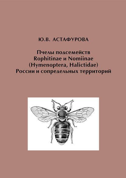 Пчелы подсемейств Rophitinae и Nomiinae (Hymenoptera, Halictidae) России и сопредельных территорий — Ю. В. Астафурова