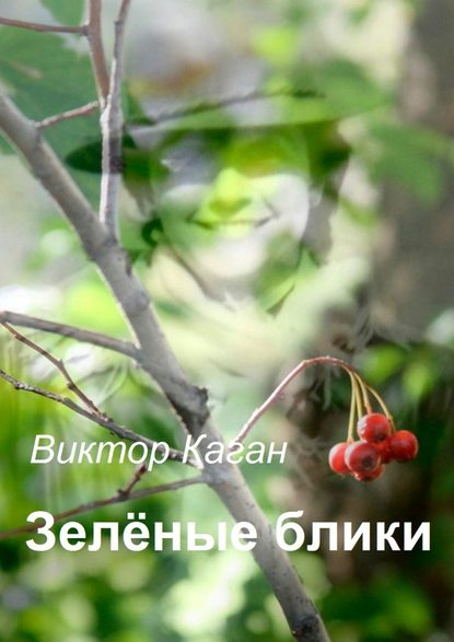 Зелёные блики — Виктор Каган