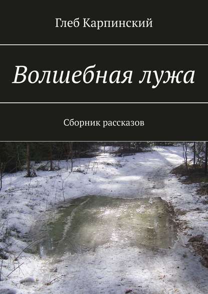 Волшебная лужа. Сборник рассказов — Глеб Карпинский