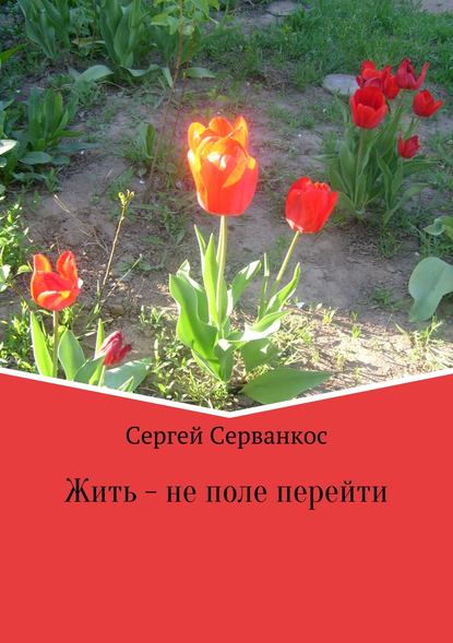 Жить – не поле перейти. Сборник - Сергей Иванович Серванкос