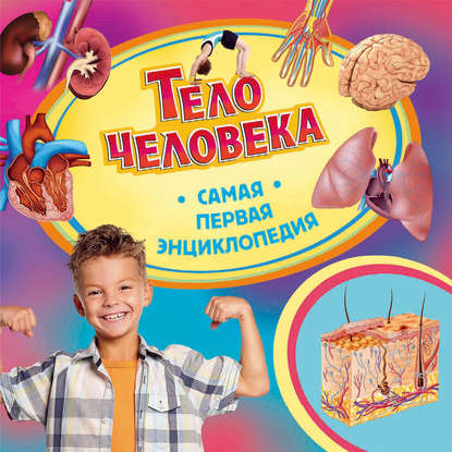 Тело человека — Ирина Травина