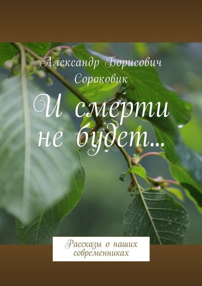 И смерти не будет… Рассказы о наших современниках - Александр Сороковик