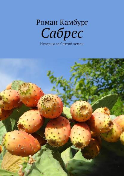 Сабрес. Истории со Святой земли - Роман Камбург