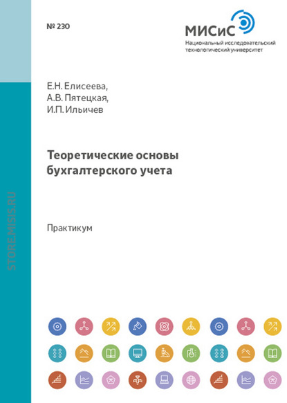 Теоретические основы бухгалтерского учета — Евгения Николаевна Елисеева