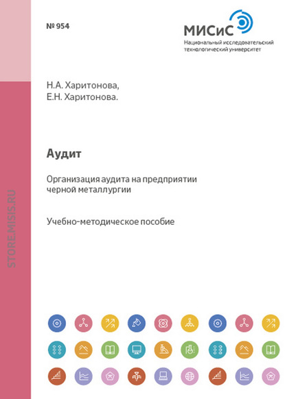 Аудит. Организация аудита на предприятии черной металлургии — Наталия Харитонова