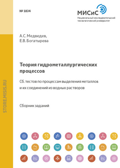 Теория гидрометаллургических процессов - Е. В. Богатырева