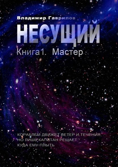 Несущий. Книга 1. Мастер - Владимир Гаврилов