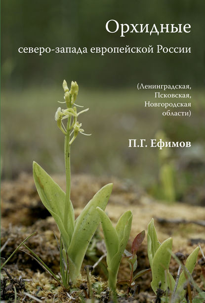 Орхидные северо-запада европейской России - Петр Ефимов