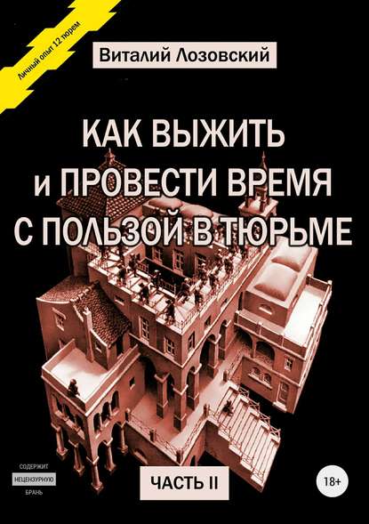 Как выжить и провести время с пользой в тюрьме. Часть 2 — Виталий Зегмантович Лозовский