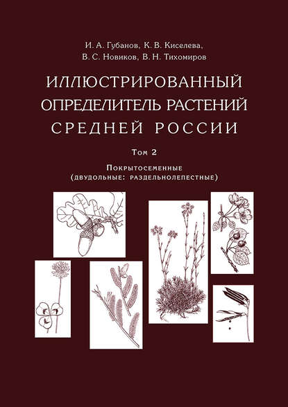 Иллюстрированный определитель растений Средней России. Том 2. Покрытосеменные (двудольные: раздельнолепестные) — В. С. Новиков