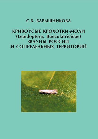 Кривоусые крохотки-моли (Lepidoptera, Bucculatricidae) фауны России и сопредельных территорий - С. В. Барышникова