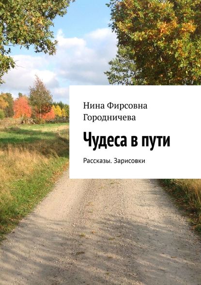 Чудеса в пути. Рассказы. Зарисовки — Нина Фирсовна Городничева