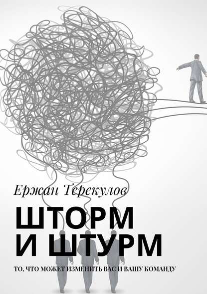 Шторм и штурм. То, что может изменить вас и вашу команду — Ержан Терекулов