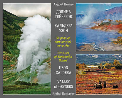 Сокровища камчатской природы. Долина Гейзеров. Кальдера Узон / Treasures of Kamchatka Nature. Valley of Geysers. Uzon Caldera - Андрей Мартэнович Нечаев