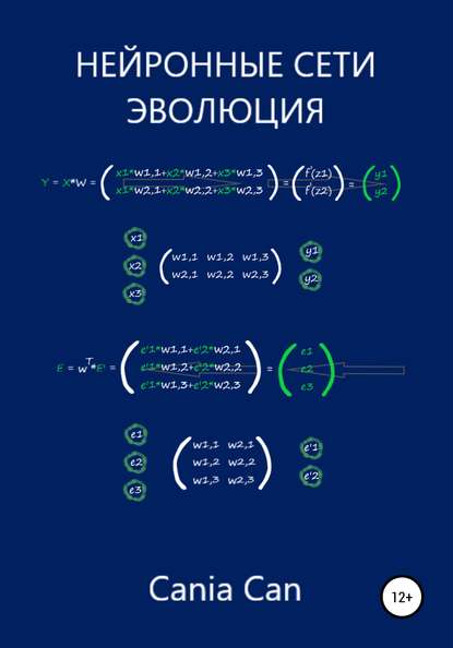 Нейронные сети. Эволюция - Каниа Алексеевич Кан