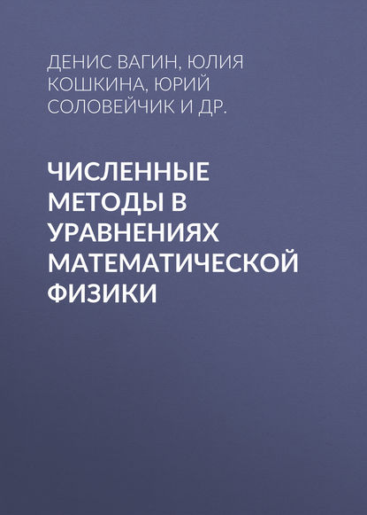 Численные методы в уравнениях математической физики - Юрий Соловейчик