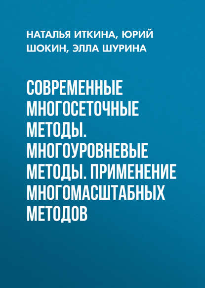 Современные многосеточные методы. Многоуровневые методы. Применение многомасштабных методов - Н. Б. Иткина