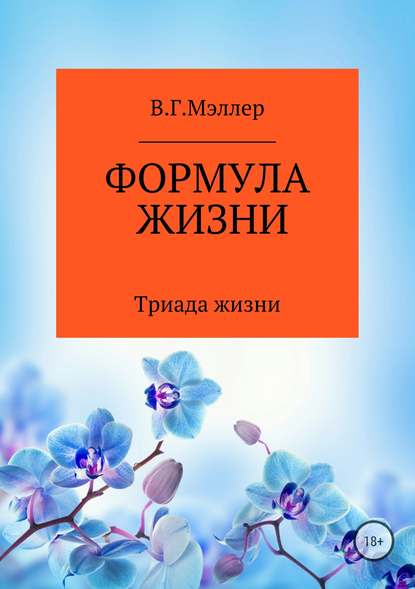 Формула жизни - ВИКТОР ГРИГОРЬЕВИЧ МЭЛЛЕР