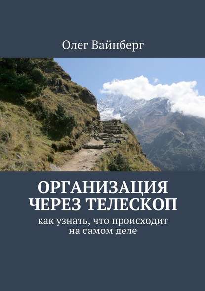 Организация через телескоп. Как узнать, что происходит на самом деле - Олег Вайнберг