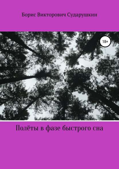 Полёты в фазе быстрого сна - Борис Викторович Сударушкин