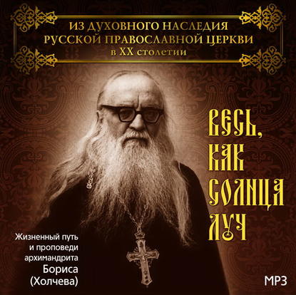 Весь, как солнца луч. Жизненный путь и проповеди архимандрита Бориса (Холчева) - Александр Куликов Протоиерей