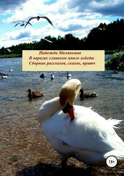 В оврагах слишком много лебеды… — Надежда Викторовна Малинкина