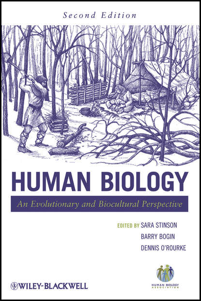 Human Biology - Группа авторов